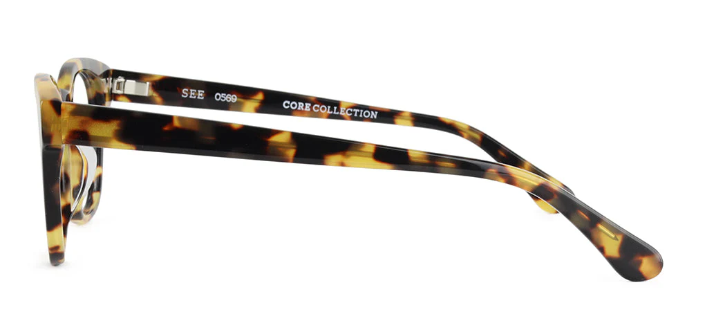 SEE 0569 Core