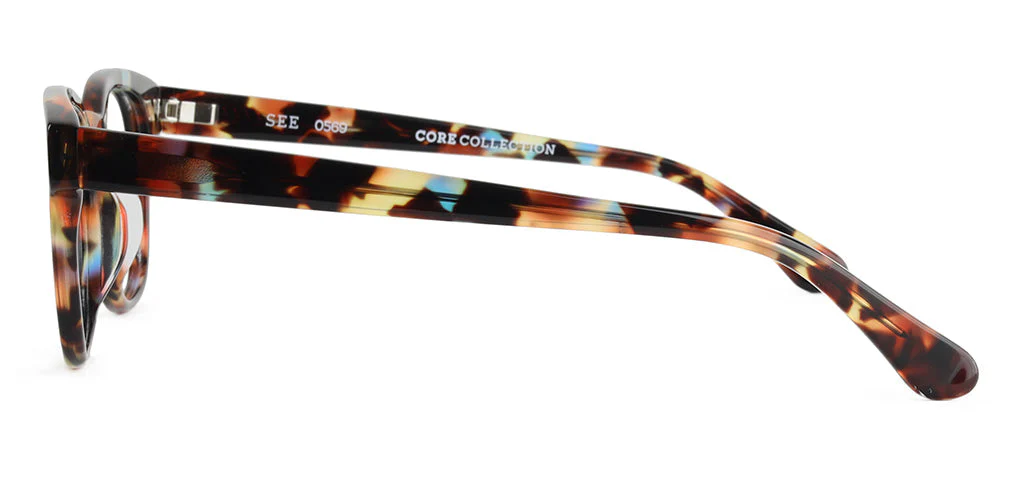 SEE 0569 Core