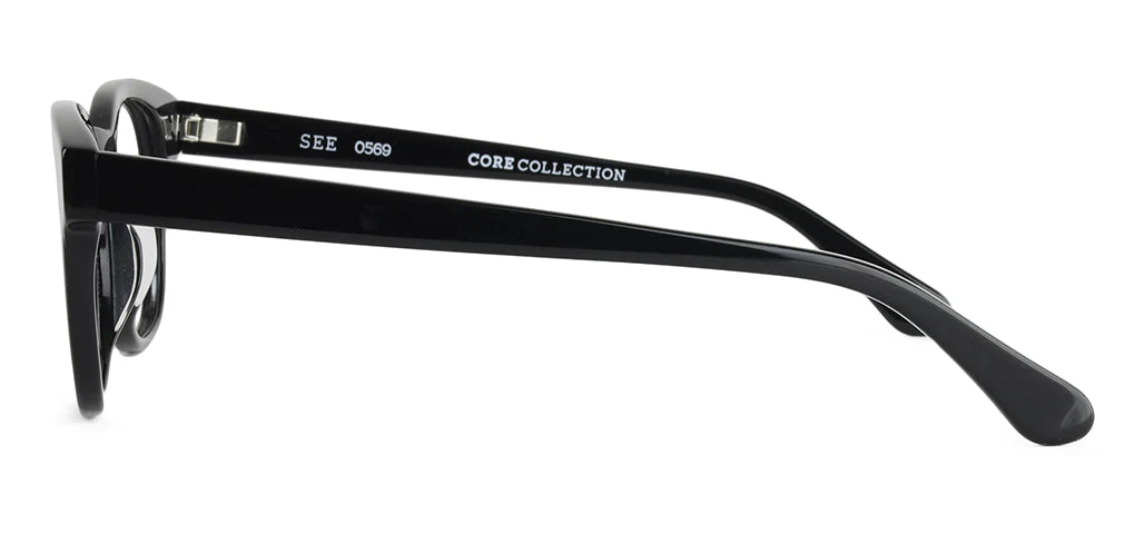 SEE 0569 Core