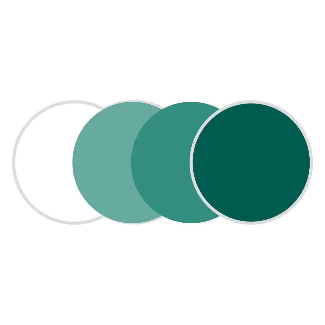 Premium Polycarbonate Transitions Lenses with AR